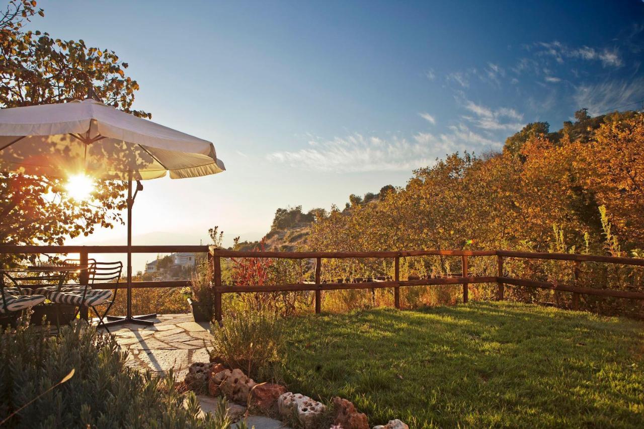 Pelion Homes Agios Georgios Nileias Exterior foto